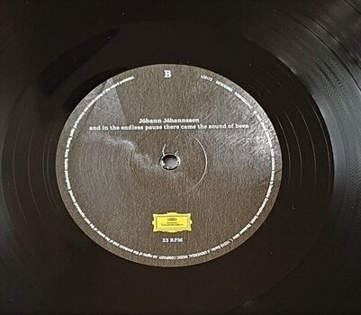 Vinylplade Johann Johannsson - And In The Endless Pause There Came The Sound Of Bees (Repress) (180g) (LP) - 3