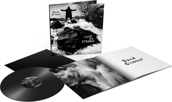 LP David Gilmour - Luck and Strange (LP) - 2