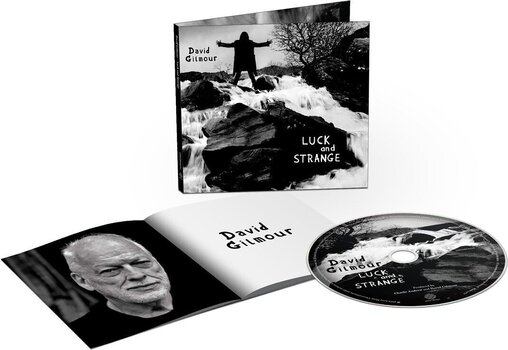 Zenei CD David Gilmour - Luck and Strange (CD) - 2