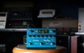 Gitarreneffekt Strymon Big Sky MX Gitarreneffekt - 3