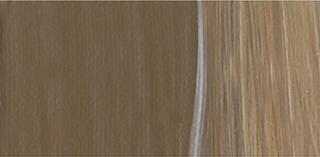 Acrylfarbe Lukas Cryl Studio Plastic Bottle Acrylfarbe Brown Ochre 500 ml 1 stk - 1
