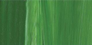 Tinta acrílica Lukas Cryl Studio Plastic Bottle Tinta acrílica Permanent Green Light 500 ml 1 un. - 1