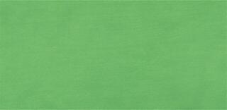 Acrylverf Lukas Cryl Terzia Plastic Bottle Acrylverf Chrome Green Light Hue 500 ml 1 st. - 1