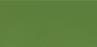 Acrylverf Lukas Cryl Terzia Plastic Bottle Acrylverf Sap Green 500 ml 1 st. - 1