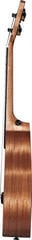 Koncertne ukulele Cascha Concert Ukulele Mahogany Solid Natural Koncertne ukulele - 3
