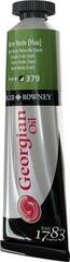 Ölfarbe Daler Rowney Georgian Ölgemälde Terre Verte Hue 38 ml 1 stk - 2