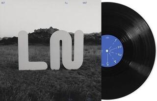 LP deska Local Natives - But I'll Wait For You (LP) - 1