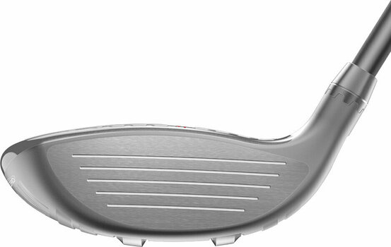 Golfschläger - Fairwayholz Cobra Golf King F8 Silver Fairwayholz 3W-4W Damen Rechtshänder - 4