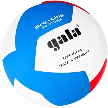 Indendørs volleyball Gala Pro Line 12 Indendørs volleyball - 2