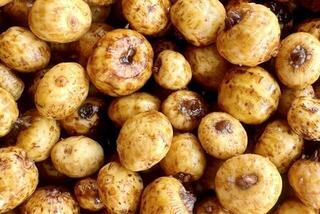  Mivardi Particle 2,5 kg Tiger Nut - 1