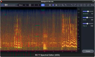 Wtyczka FX iZotope RX 11 Advanced: CRG from any paid iZotope product (Produkt cyfrowy) - 5