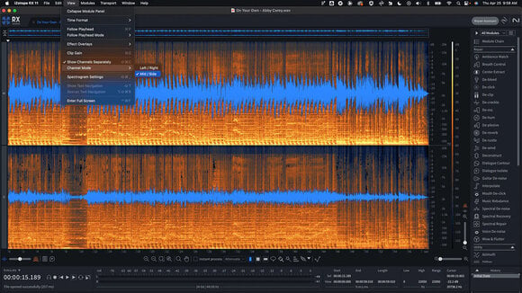 Software Plug-In FX-processor iZotope RX 11 Advanced EDU (Digitalt produkt) - 2