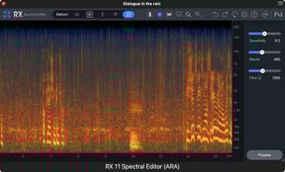 Effect Plug-In iZotope RX 11 Standard EDU (Digital product) - 1