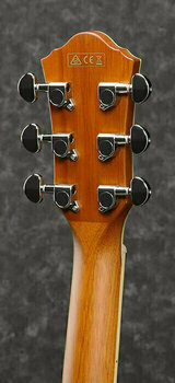 Elektroakustická kytara Jumbo Ibanez AEG10II Natural Browned Burst High Gloss - 4