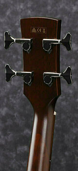 Acoustic Bassguitar Ibanez AVNB1E-BV Brown Violin Semi-Gloss - 4