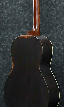 Akustična kitara Ibanez AVN11 Antique Brown Sunburst Semi-Gloss - 2