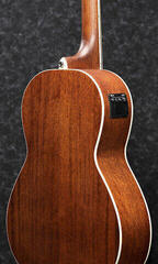 Bajo acústico Ibanez PNB14E-OPN Open Pore Natural Bajo acústico - 1