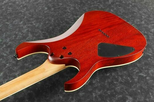 Elektrische gitaar Ibanez RGEW521ZC Natural Flat - 3