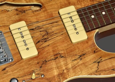 Elektrische gitaar Michael Kelly 59 Thinline Spalted Maple - 3