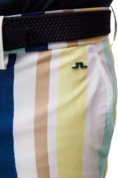 Shorts J.Lindeberg Tim Print Wax Yellow 36 Shorts - 6