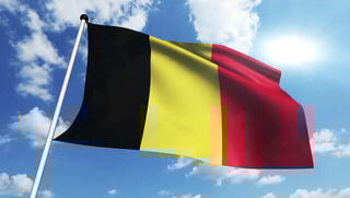 Marine National Flag Talamex Belgium - 1