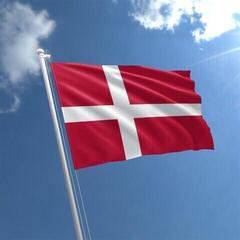 Marine National Flag Talamex Denmark - 1
