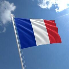 Marin nationell flagga Talamex France - 1