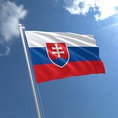 Marine National Flag Talamex Slovakia - 1