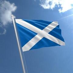 Marine National Flag Talamex Scotland - 1