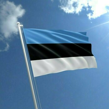 Nationale vlag Talamex Estonia Nationale vlag 30 x 45 cm - 2