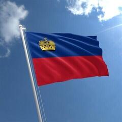 Marine National Flag Talamex Liechtenstein - 1