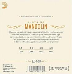 Cordes de mandolines D'Addario EJ74-3D Cordes de mandolines - 1
