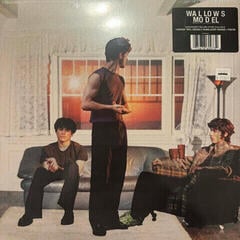 Вінілові платівки Wallows - Model (Limited Edition) (Indie Exclusive) (Orchid & Translucent Orange) (LP) - 3