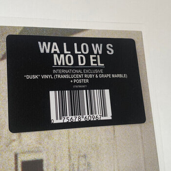 Vinyl Record Wallows - Model (Limited Edition) (Translucent Ruby & Grape Marble Coloured) (LP) - 4