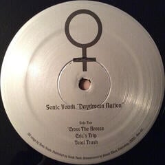 LP ploča Sonic Youth - Daydream Nation (2 LP) - 2