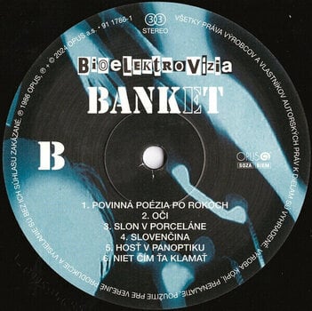 Vinylskiva Banket - Bioelektrovízia (LP) - 3