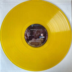 Vinyl Record Martin Stadtfeld - Baroque Colours (Yellow and Blue Coloured) (2 LP) - 2