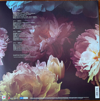 Disco de vinil Martin Stadtfeld - Baroque Colours (Yellow and Blue Coloured) (2 LP) - 10