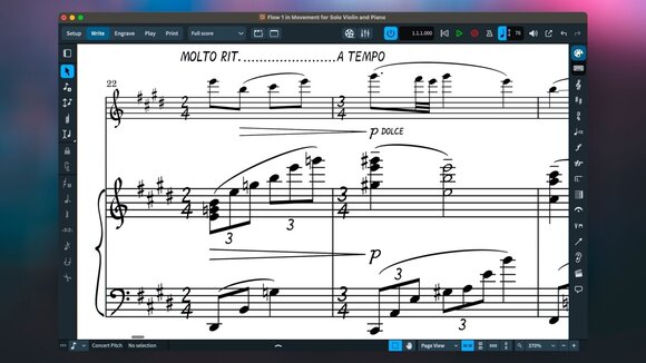 Software de notación musical Steinberg DORICO PRO 5 Crossgrade EDU Software de notación musical - 2