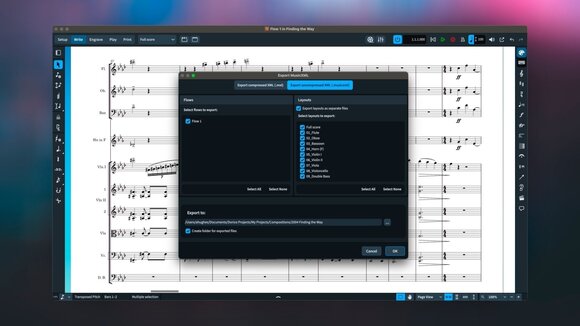 Software de notación musical Steinberg DORICO PRO 5 Crossgrade EDU Software de notación musical - 3