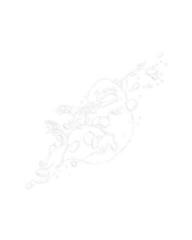 Peinture par numéros Zuty Peinture par numéros Illustration du museau, des pièces de monnaie et des chaînes en or (Les Animaux Fantastiques) - 1