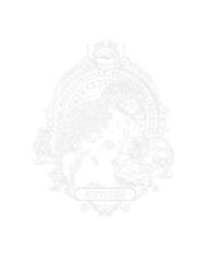 Schilderen op nummer Zuty Schilderen op nummer Portret van een snuit (Fantastic Beasts) - 1