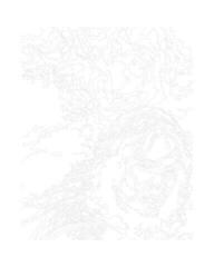 Painting by Numbers Zuty Painting by Numbers Aragorn Portrait (Lord Of The Rings) - 1