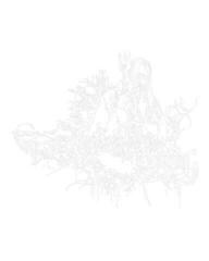 Schilderen op nummer Zuty Schilderen op nummer Geschilderde Saruman (Lord of the Rings) - 1