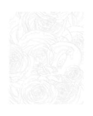 Schilderen op nummer Zuty Schilderen op nummer Tweets en rozen (Looney Tunes) - 1