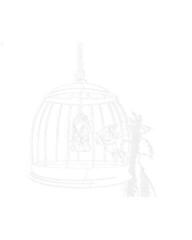 Schilderen op nummer Zuty Schilderen op nummer Sylvester en Tweety in de kooi (Looney Tunes) - 1