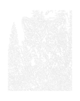 Peinture par numéros Zuty Peinture par numéros Le loup dans les bois (Al Agnew) - 2