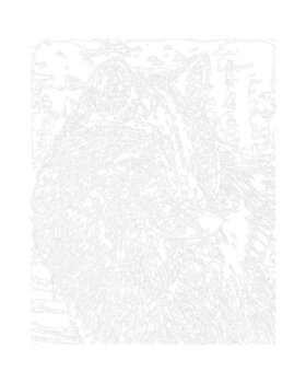 Målning med siffror Zuty Målning med siffror Porträtt av en varg (Al Agnew) - 2