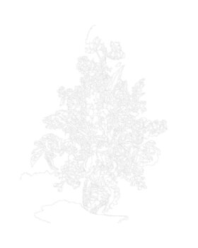 Slikanje po brojevima Zuty Slikanje po brojevima Mrtva priroda - Buket u porculanskoj vazi II (Pieter Wagemans) - 2