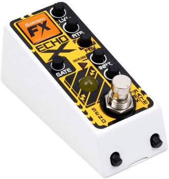 Multieffektprozessor Rainger FX Echo-X Multieffektprozessor - 2